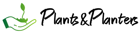 Plants & Planters